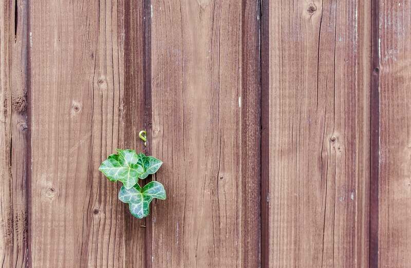 wooden fence