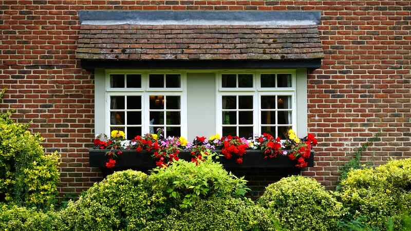 Window of a house with flowers