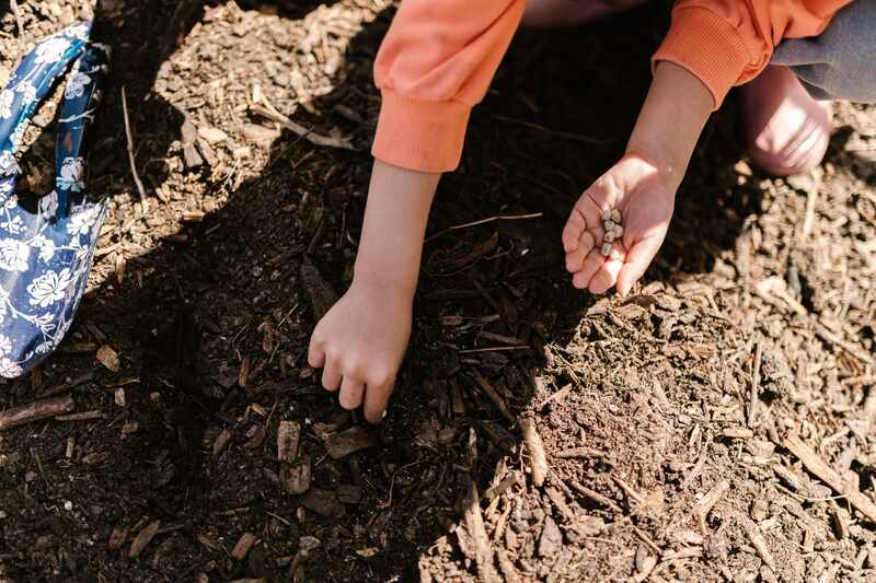 kid seeding in garden