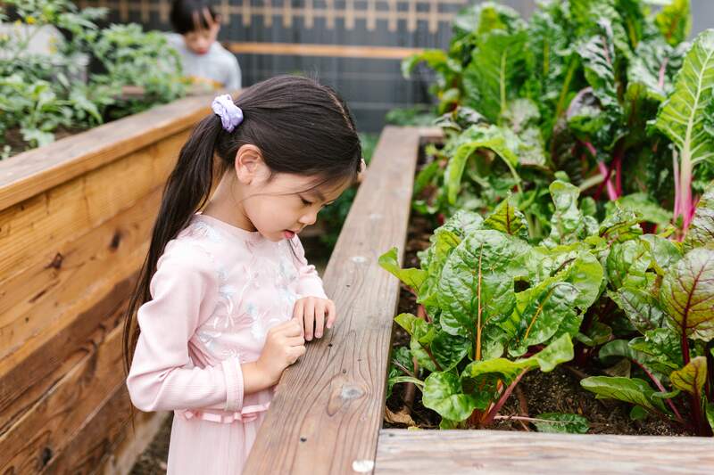 Girl watching plants