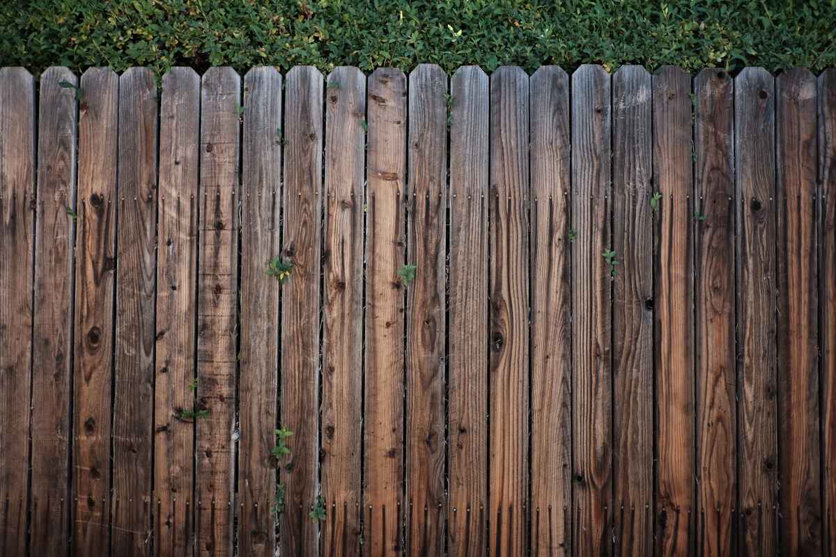fence
