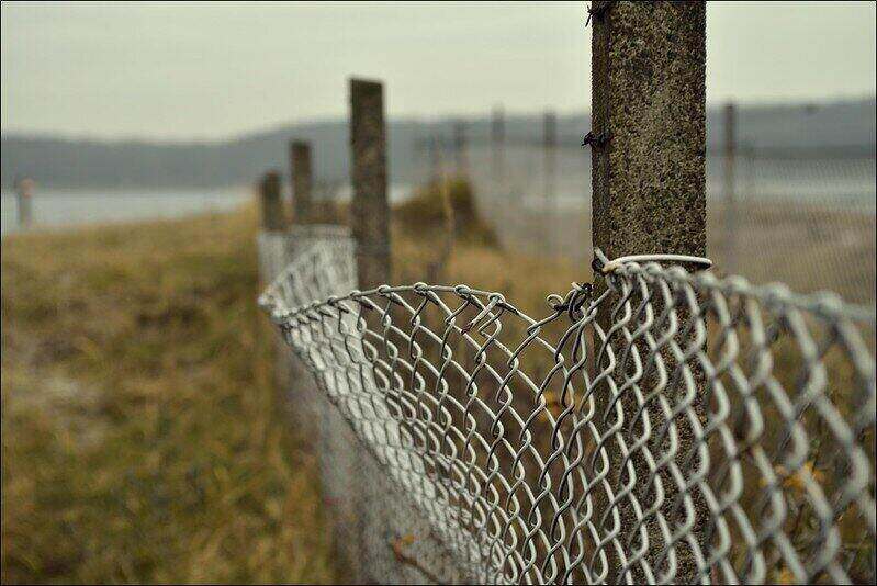 Chain Link Fence