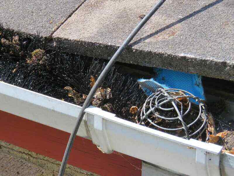 Do Brush Gutter Guards Work? Lawnstarter