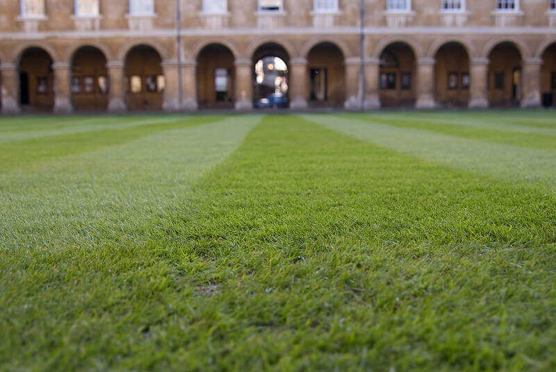 stripes in grass in lawn