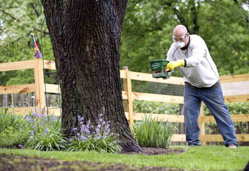 Tree Tertilizing 