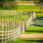 Best Fences for Sloped Yards