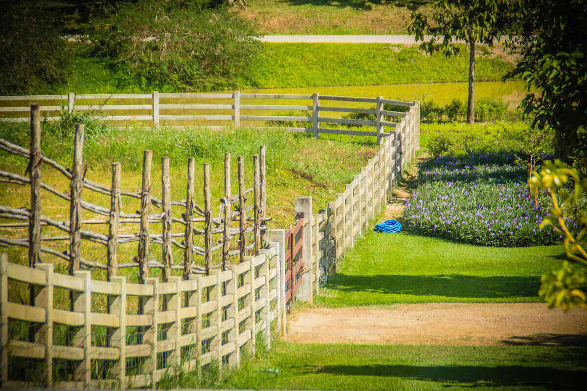 Best Fences for Sloped Yards