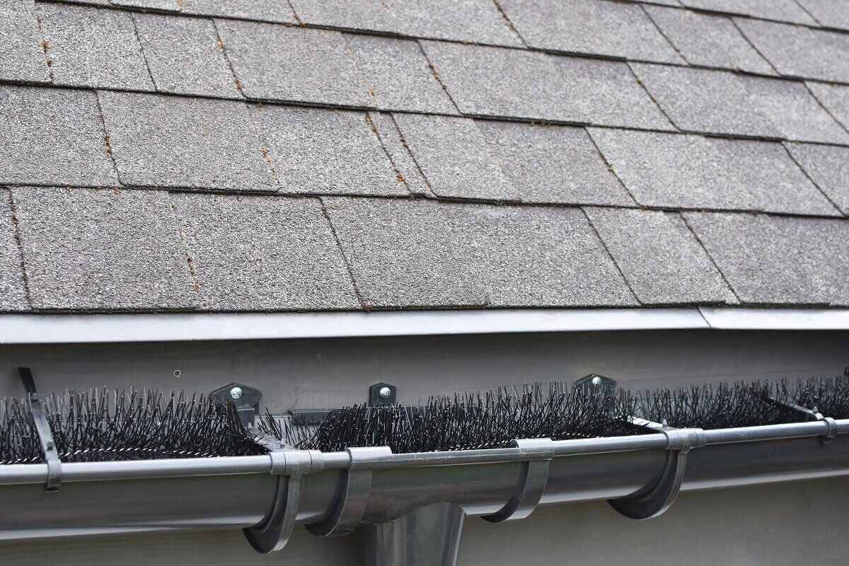 Do Brush Gutter Guards Work? Lawnstarter