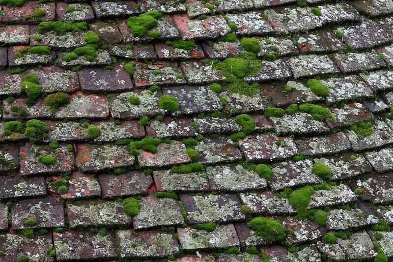 Signs You Need to Replace Your Roof
