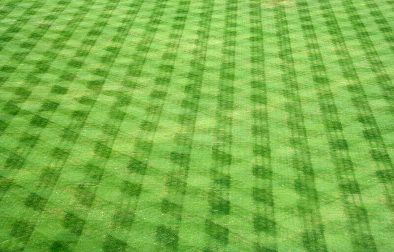 baseball diagonal grass