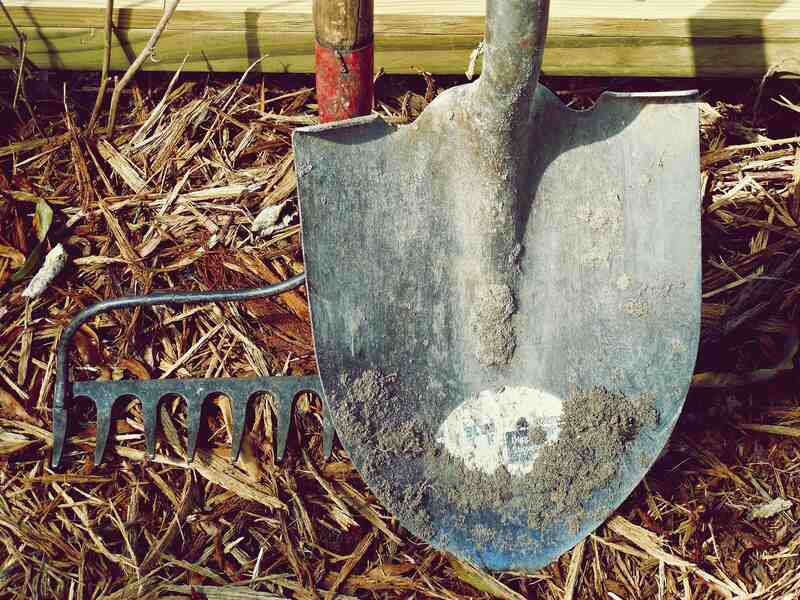 shovel on soil