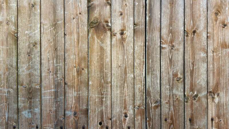 fence