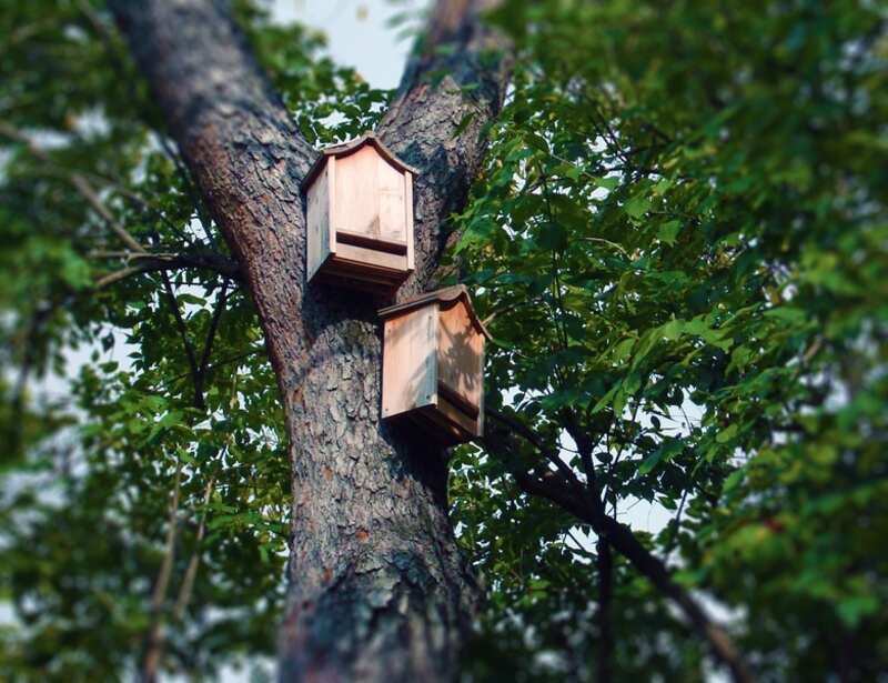 bat house