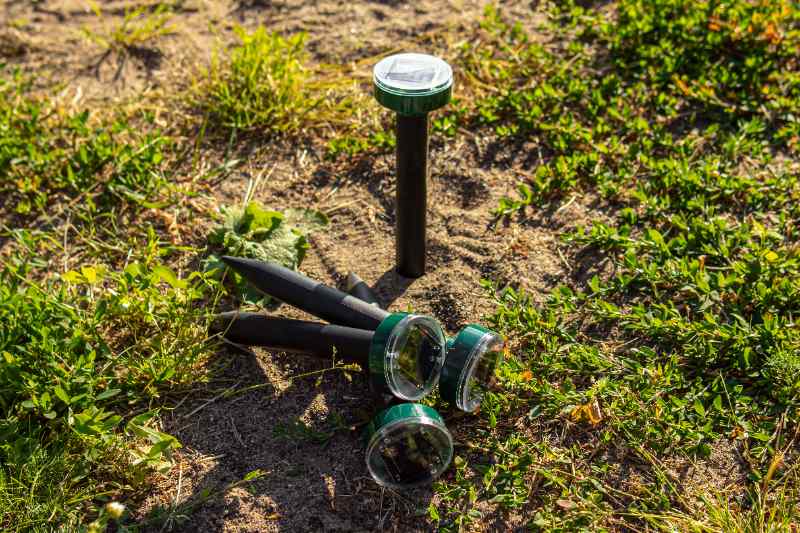 Several black and green ultrasonic vole repellers are placed on the ground in a grassy garden, with one already installed upright.