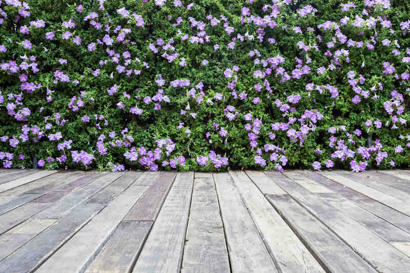 wooden fence