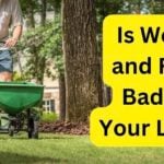 Is Weed and Feed Bad for Your Lawn?