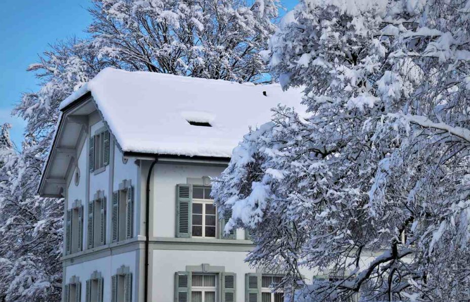 How to Protect Trees From a Freeze