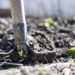 4 Ways to Remove Lawn Grass