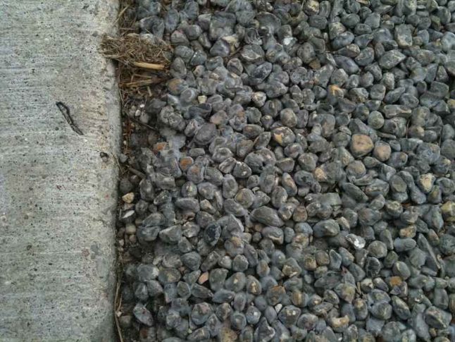 Close-up of porous pavement. Left side is conventional concrete pavement.
