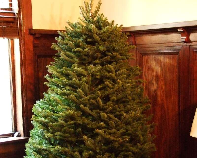 tree for christmas