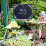 How to Build a Fairy Garden