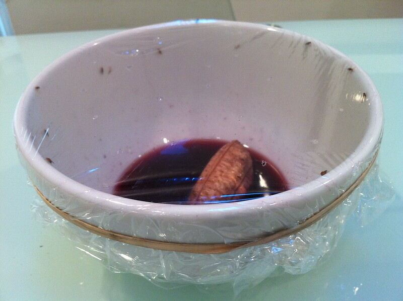 fruit fly trap