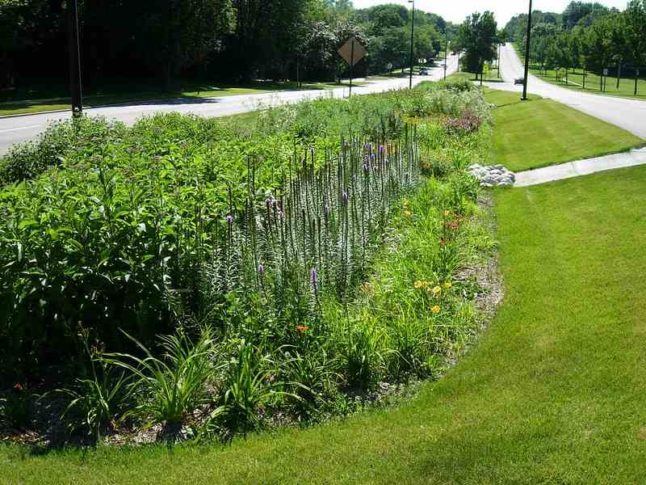 Bioretention / bioswale in between two roads