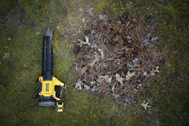 Leaf blower next to a pile of leaves on a moss lawn