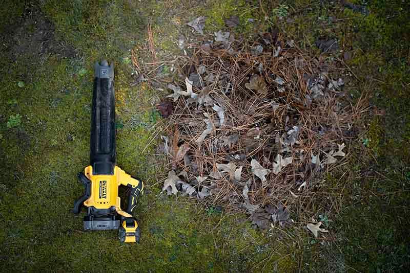 Leaf blower next to a pile of leaves on a moss lawn