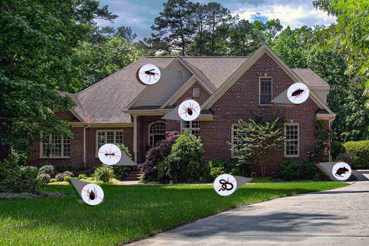 Photo of Hilary Walker's mom's two-story brick house with trees on the sides and in front and a driveway leading to the home
