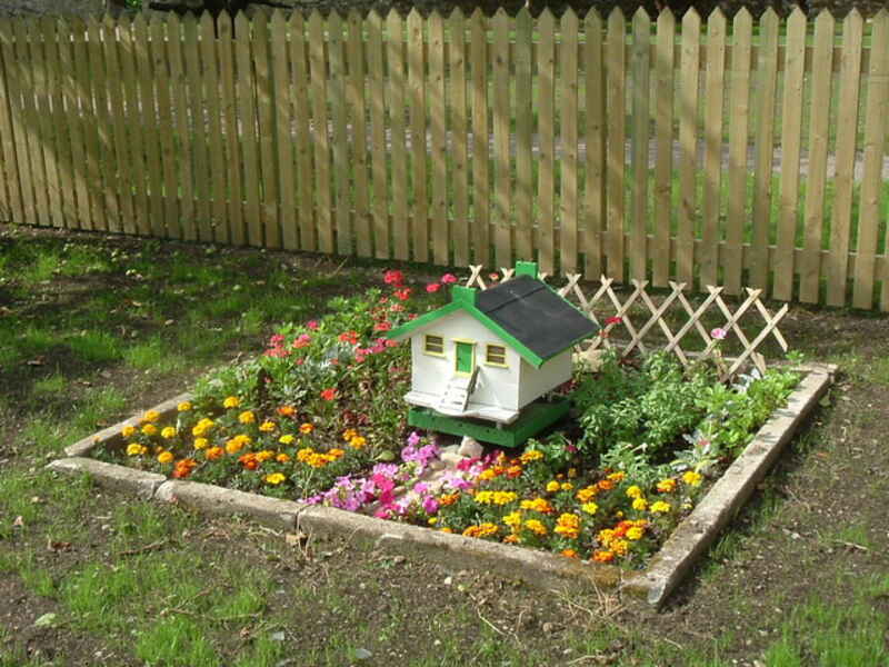 A mini fairy garden