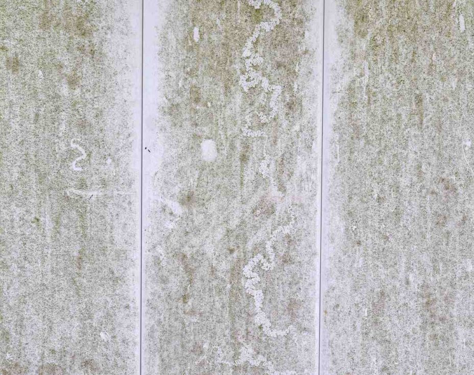 Tips to Prevent and Remove Mold on a Vinyl Fence Lawnstarter