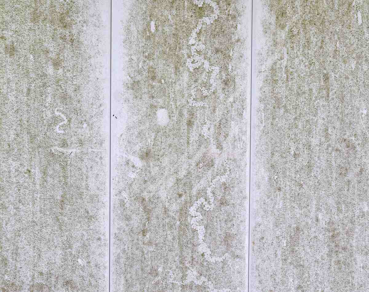 Tips to Prevent and Remove Mold on a Vinyl Fence Lawnstarter