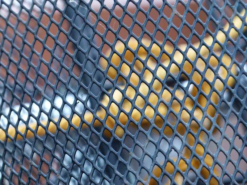 security fence