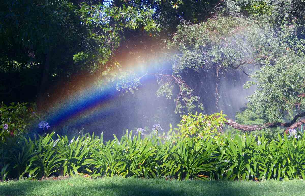 sprinkler rainbow