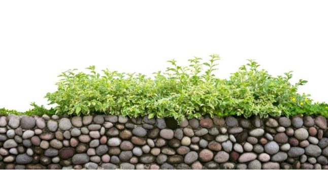 A beautiful stone fence of a lawn