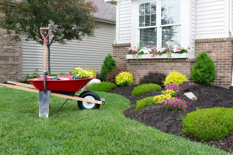 flower bed border