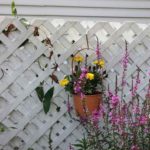 Lattice Fence Ideas