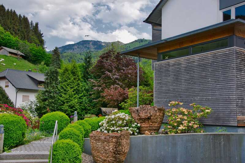 front yard