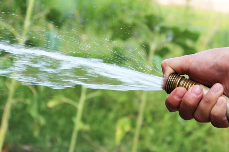 person watering a lawn