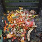 What is Scrap Gardening and How to Get Started?