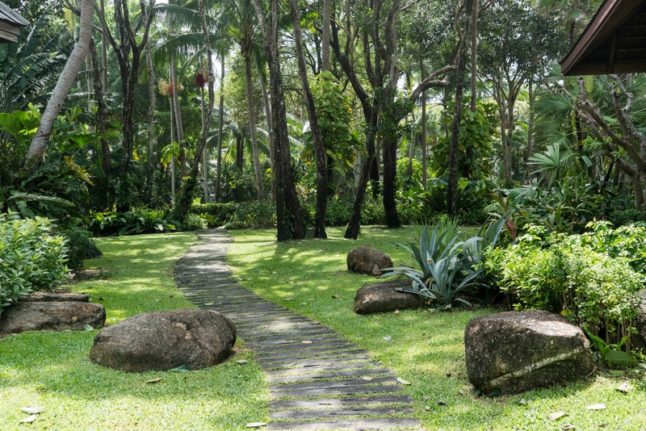 Walkway of a garden