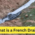 What is a French Drain?