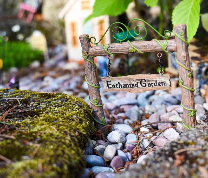 A beautiful fairy garden