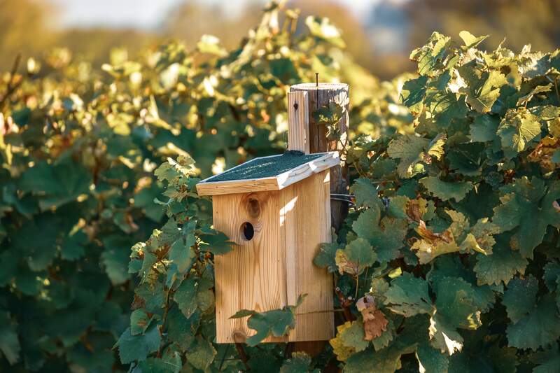 A birdhouse built in a yard of a house