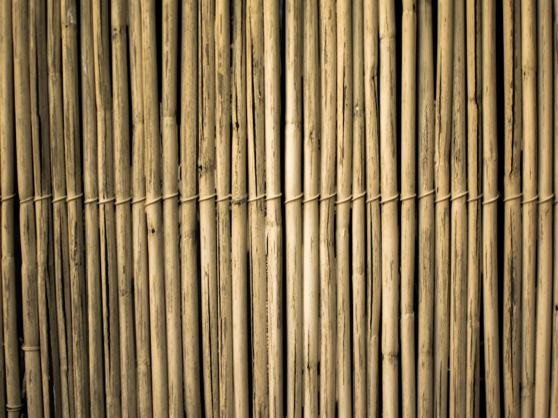 A beautiful bamboo fence