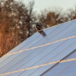 10 Advantages of Solar Panels
