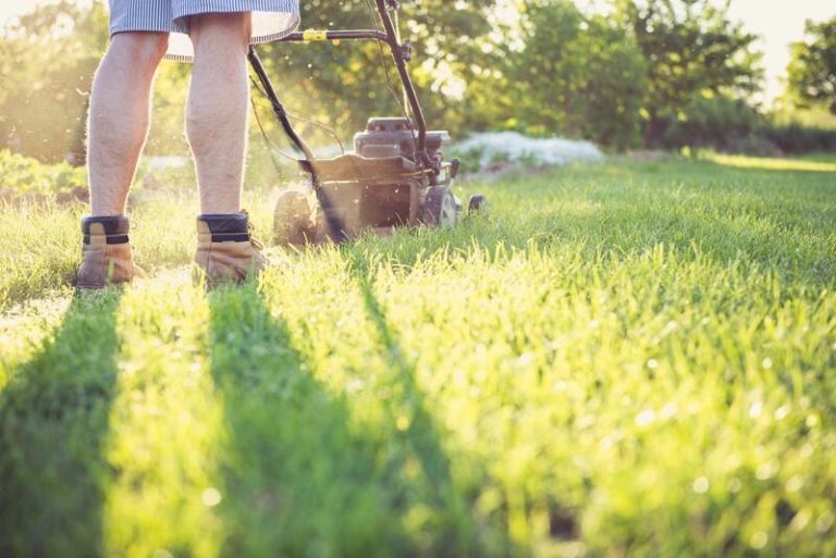 Fall Lawn Care Calendar For Wisconsin fall-lawn-care-calendar-for-wisconsin
