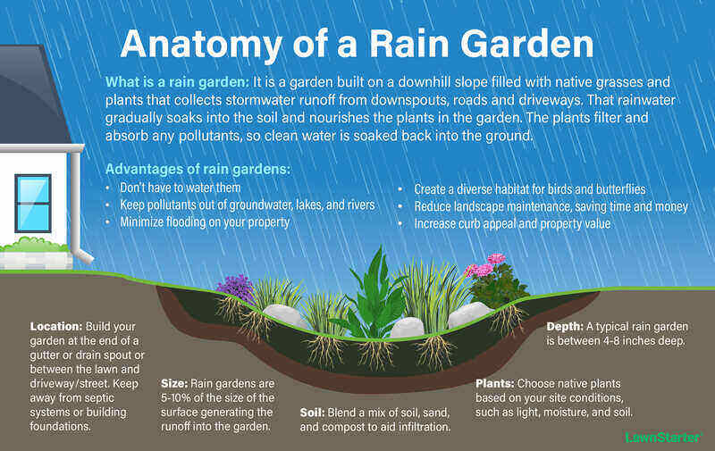 How to Create a Rain Garden