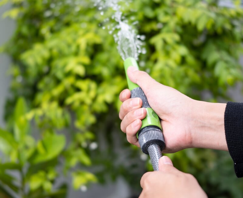 gardener holding hose watering tree